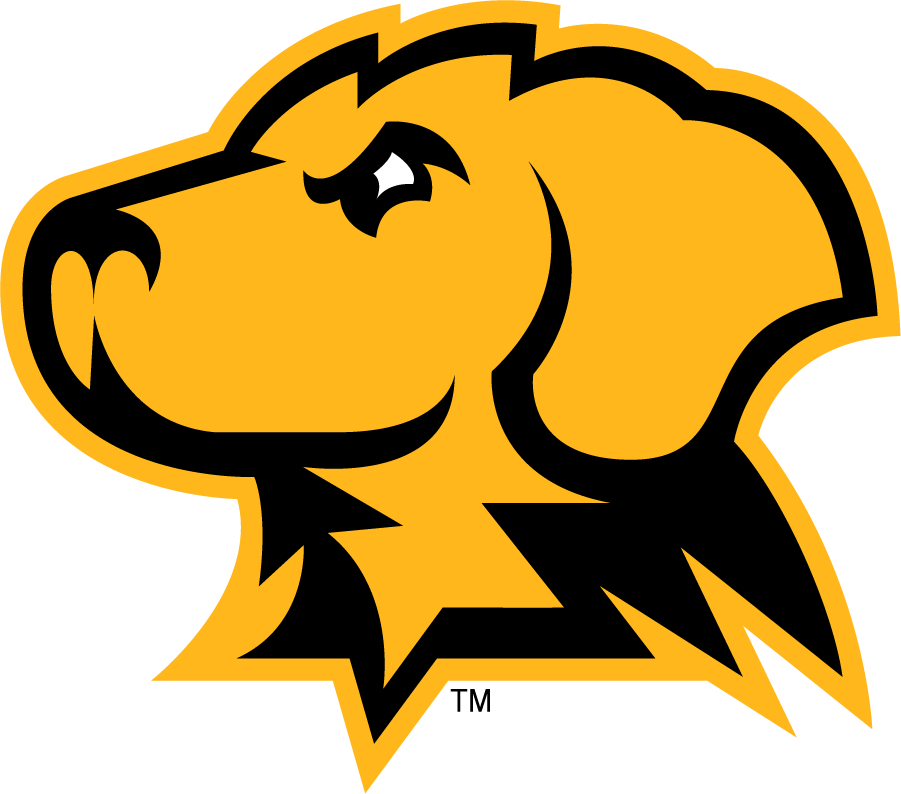 UMBC Retrievers 2010-Pres Alternate Logo v3 diy iron on heat transfer